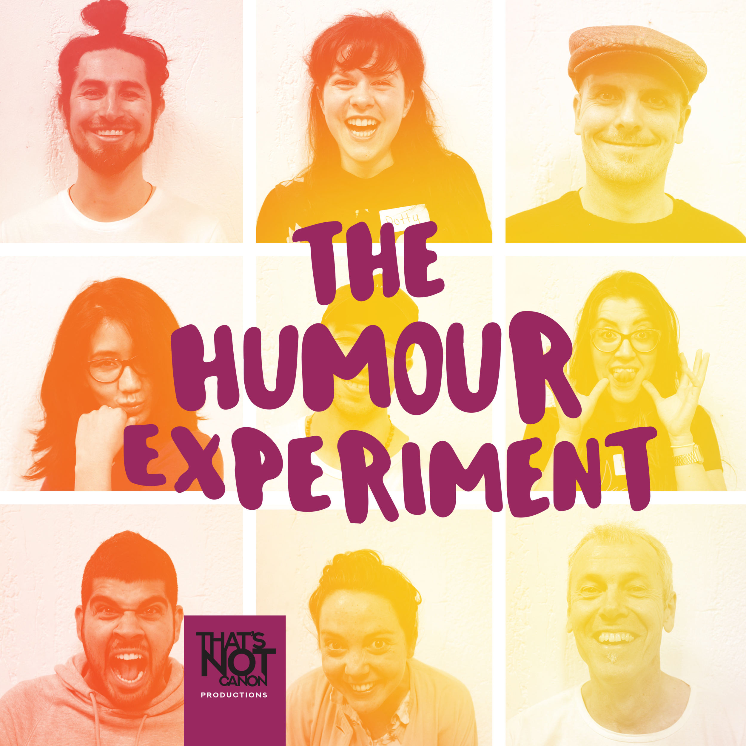 The Humour Experiment LOGO.png