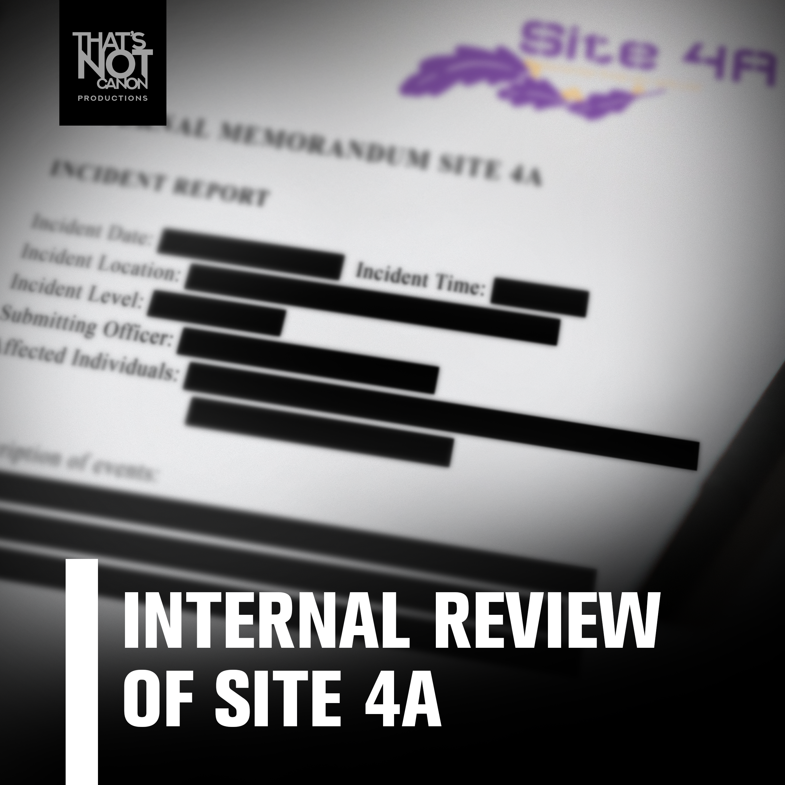 Internal Review of Site 4a LOGO.png