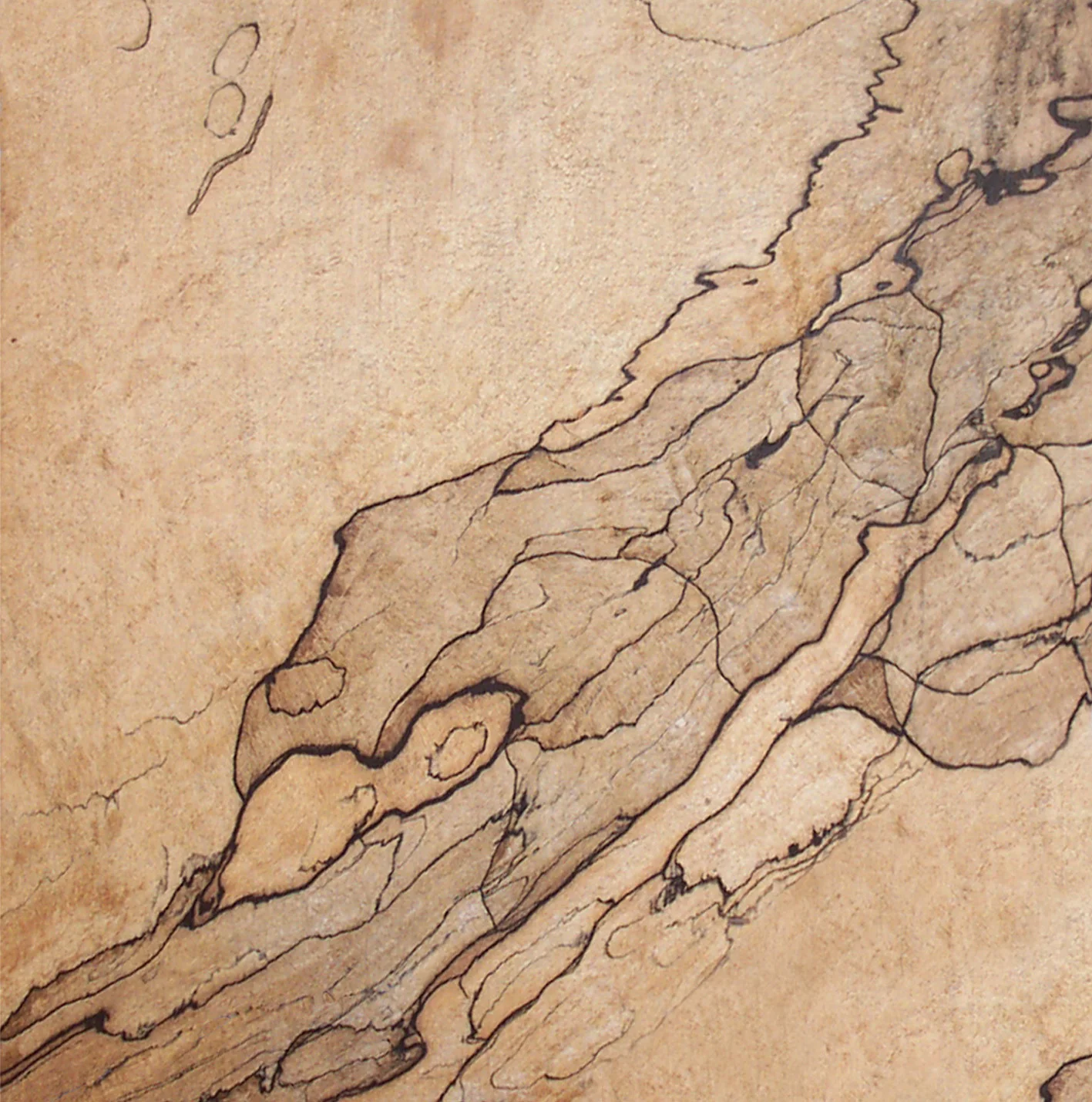 Front Cover of Hold on to the rhythm - An amazing piece of Spalted Maple courtesy of Paul Hinds over at Hobbit House Inc