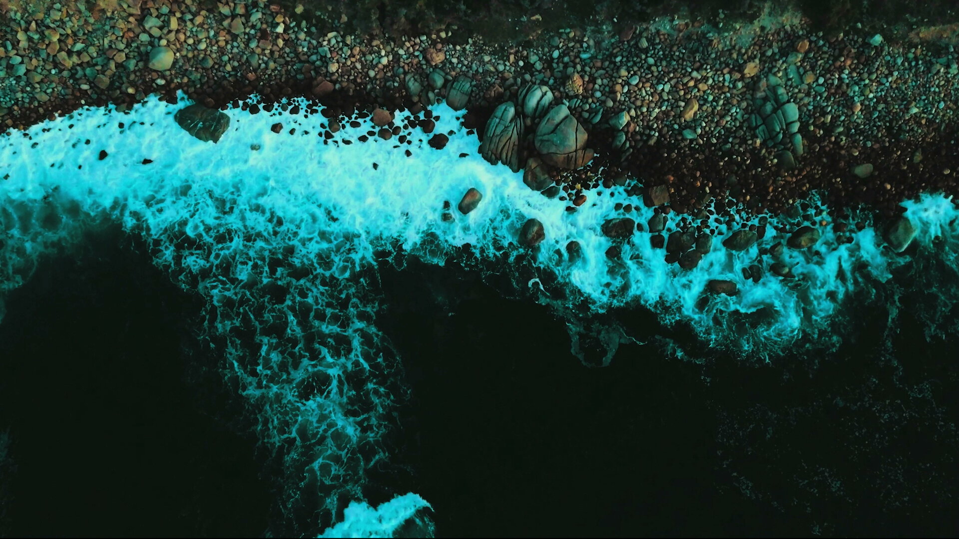 Still Here-Vid-1 thumbnail blank.jpeg