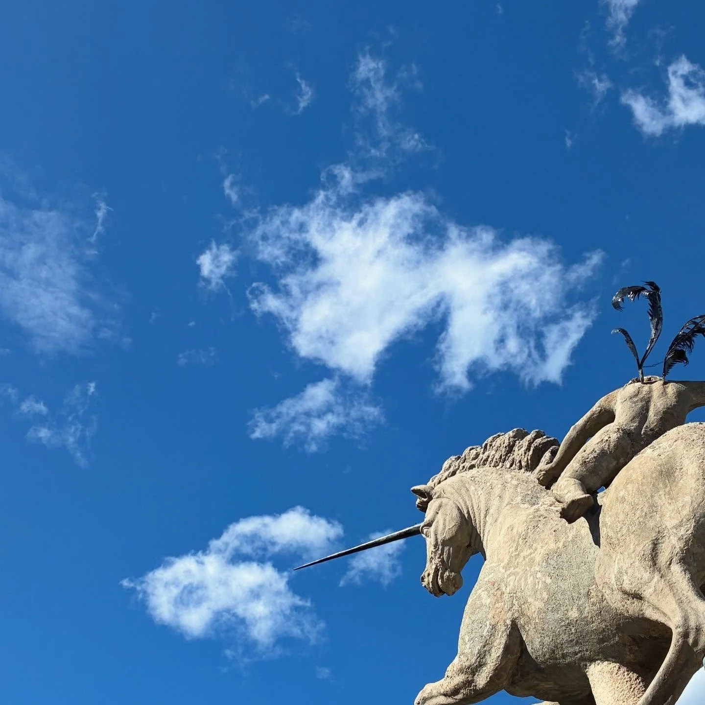 happy summer memory

#isolabella #ridingtheunicorn #hellofaridesofar