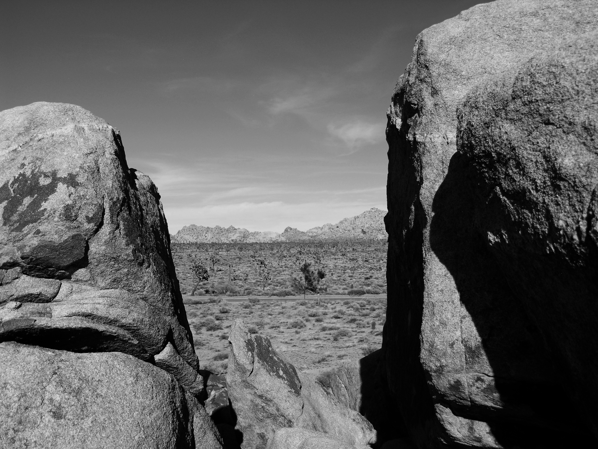 Joshua Tree National Park