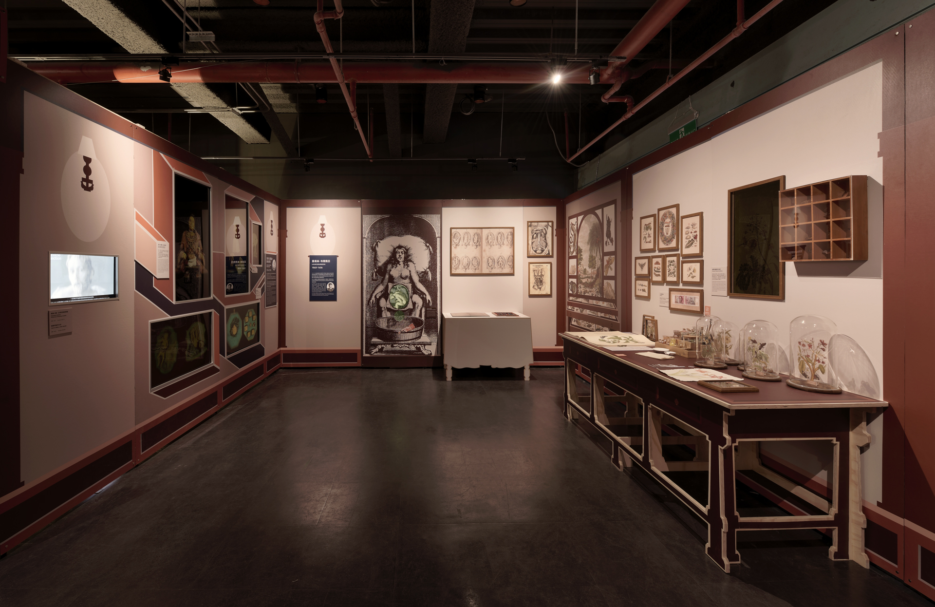 自光體-科技性別化創新特展-03.jpg