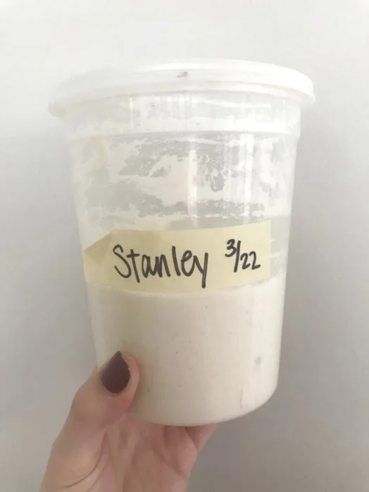 Sourdough Starter Trouble Shooting