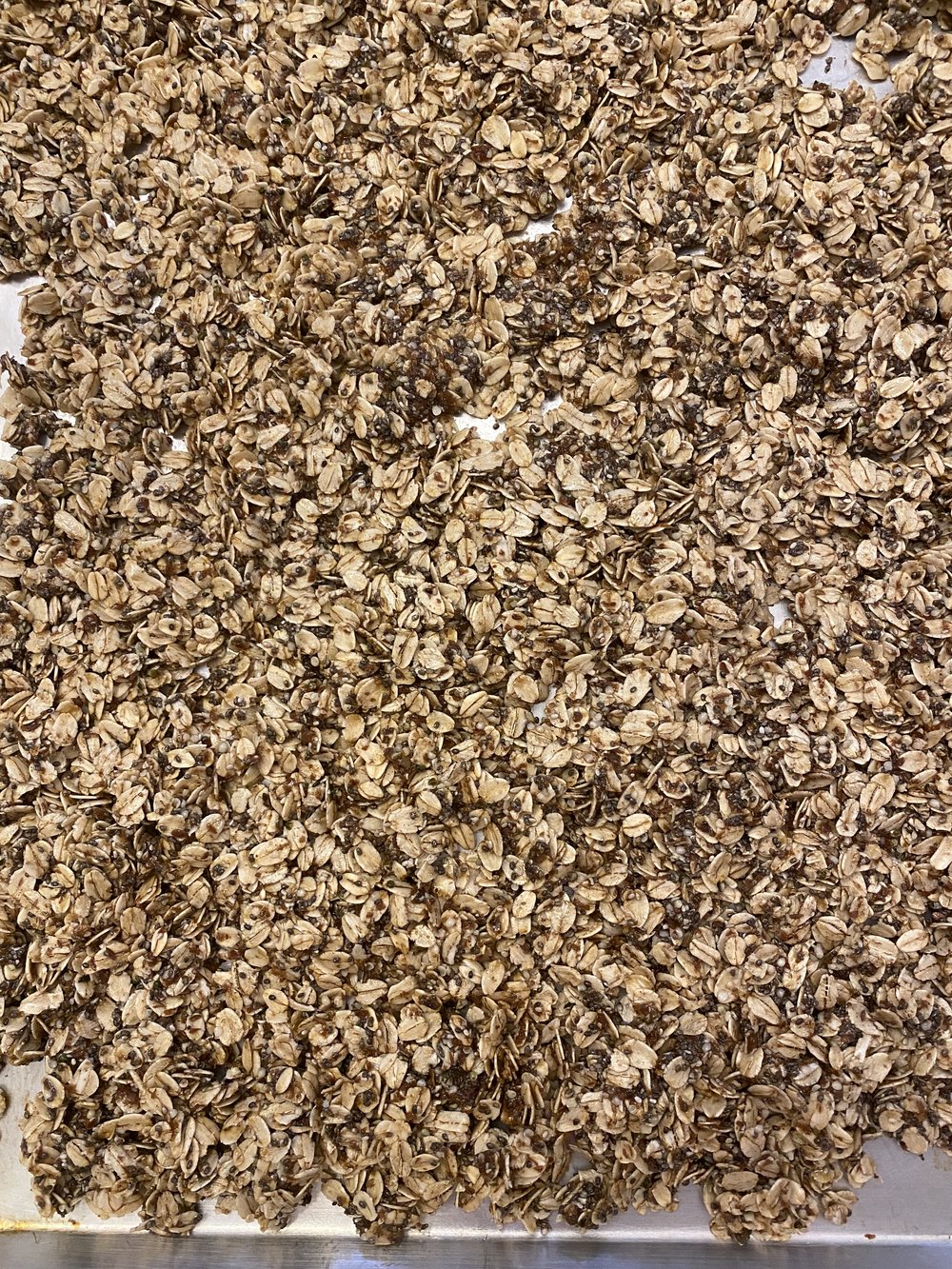 Oats before toasting