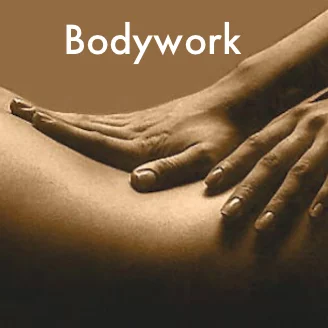 body.jpg