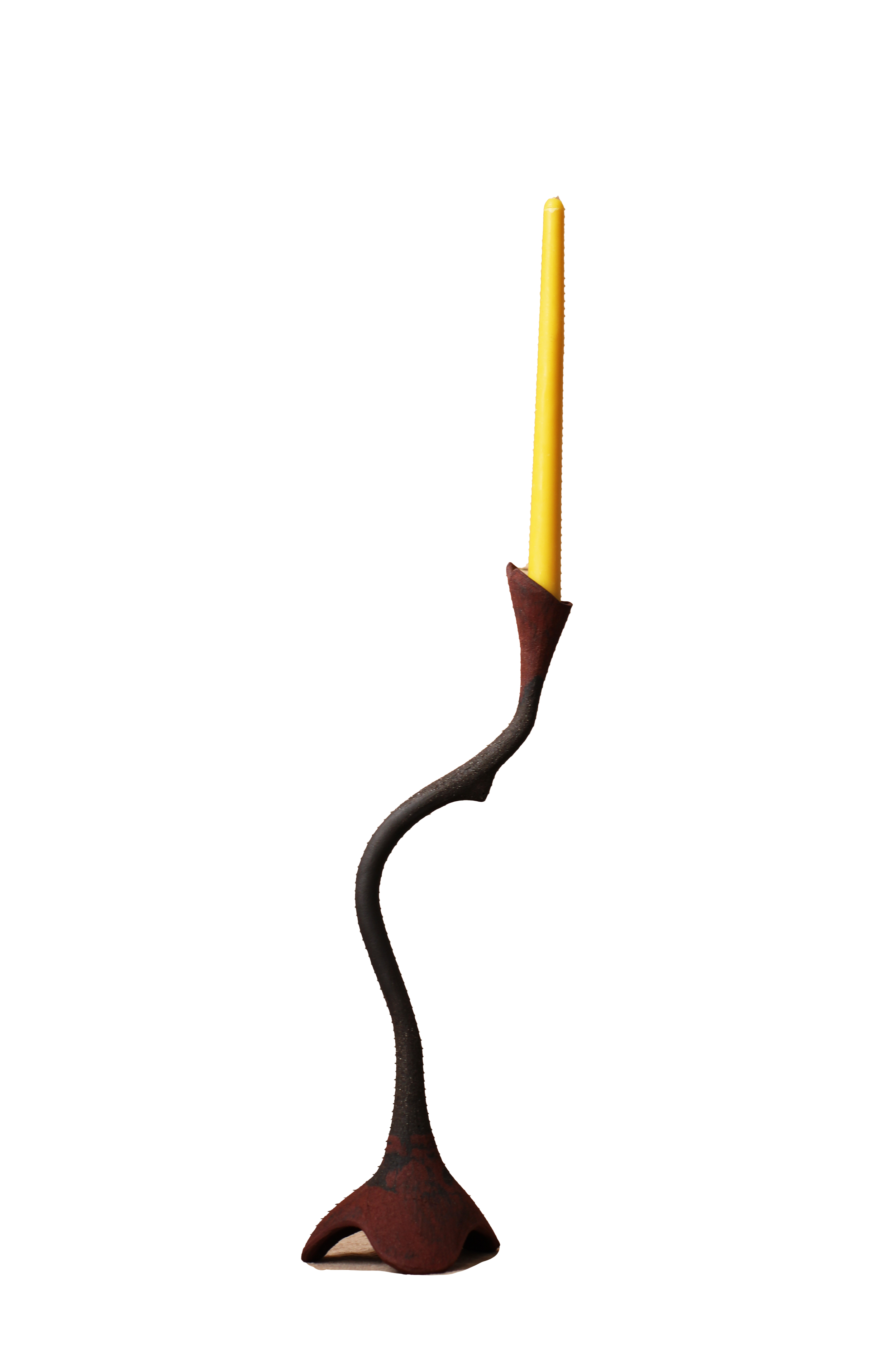 IMG_4874.png
