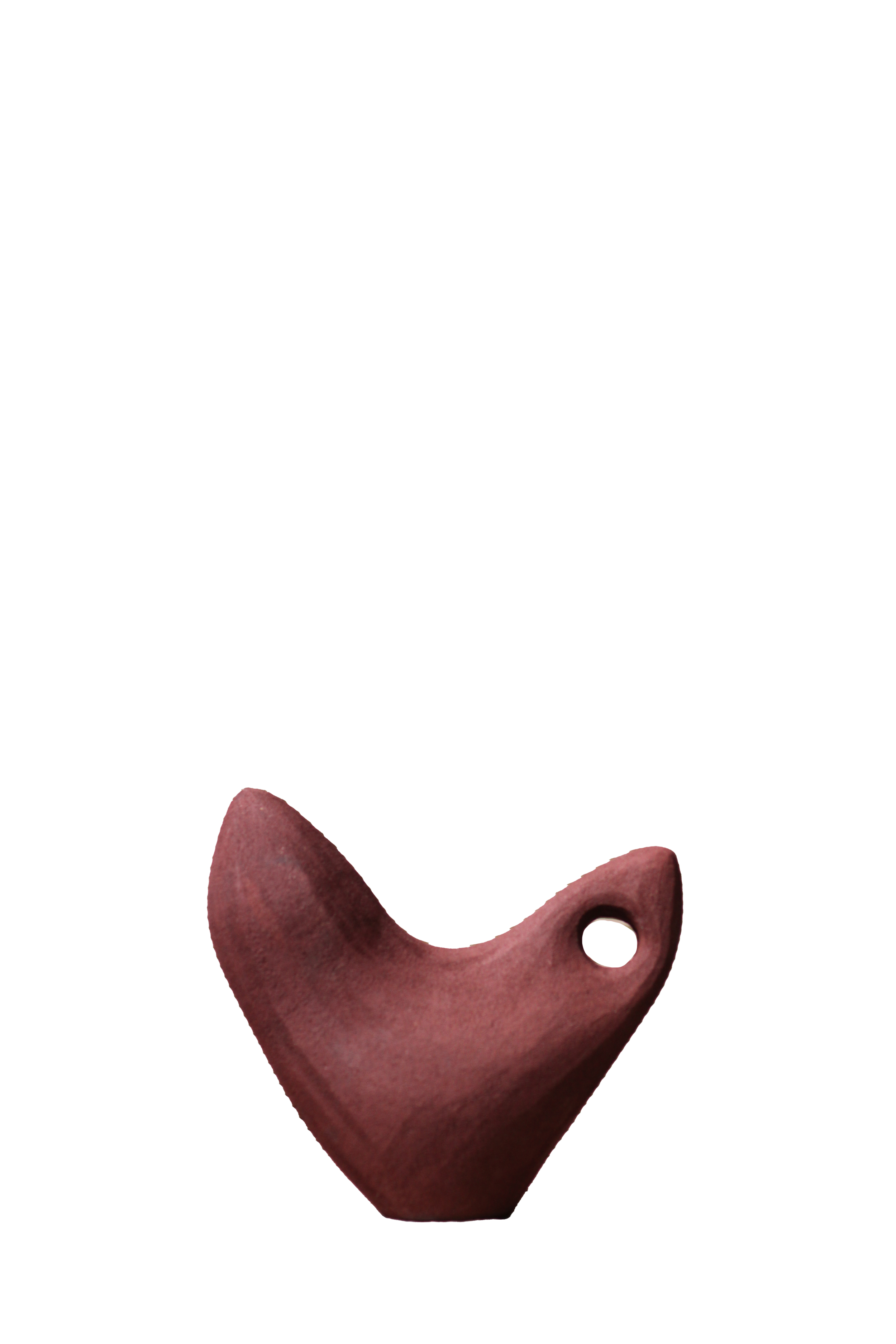 Pleo heart