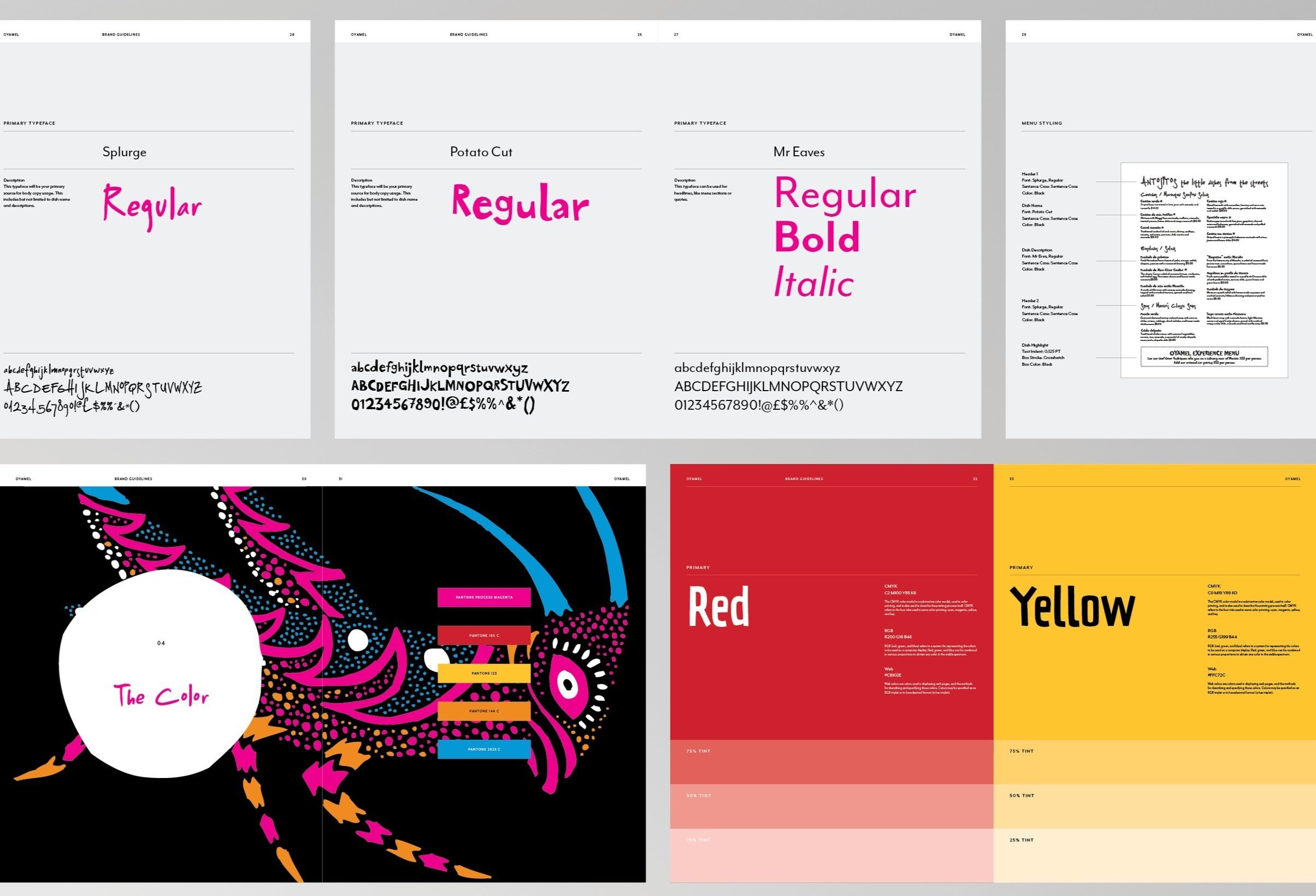 Oyamel-Website-guidelines_03.jpg