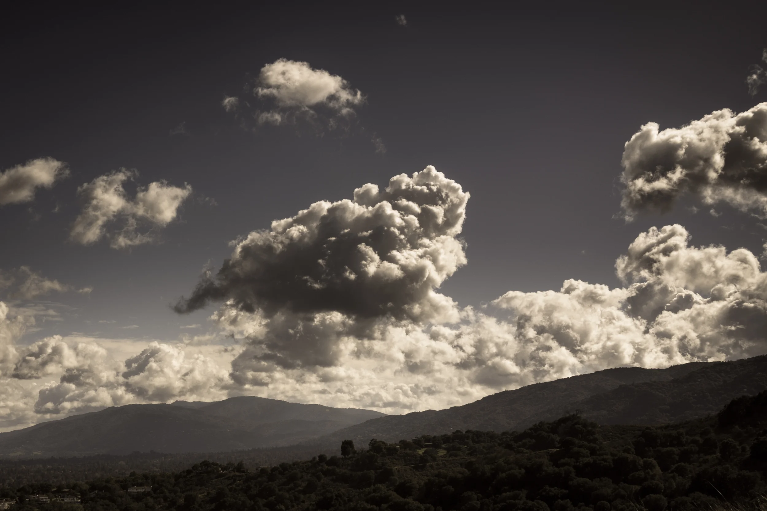 Fremont Older Space Preserve