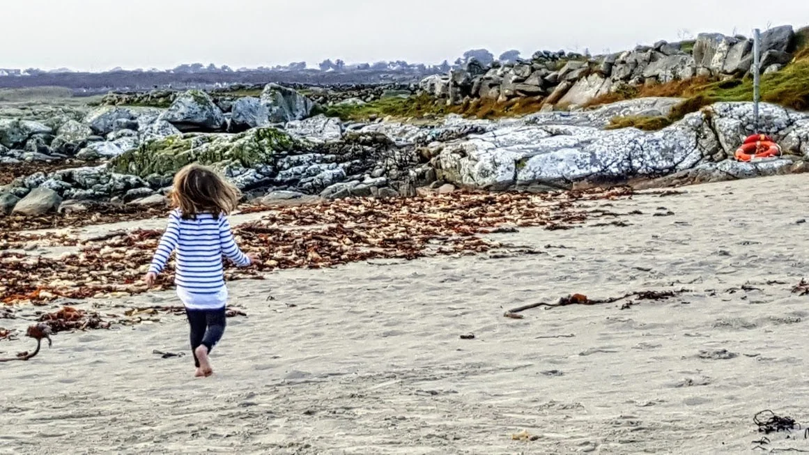 Seaweed is a rich source of iodine