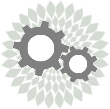 Initiatives & Programs