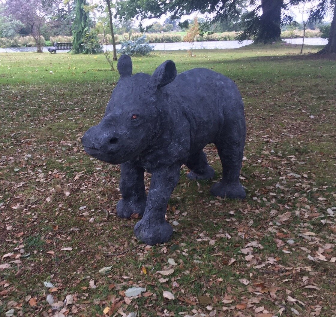 Roberta the baby rhino