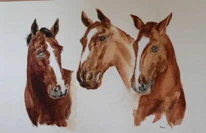Cathy's Horses