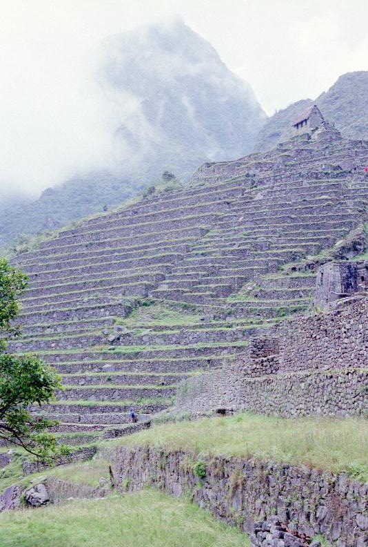 Machu PIcchu terraces