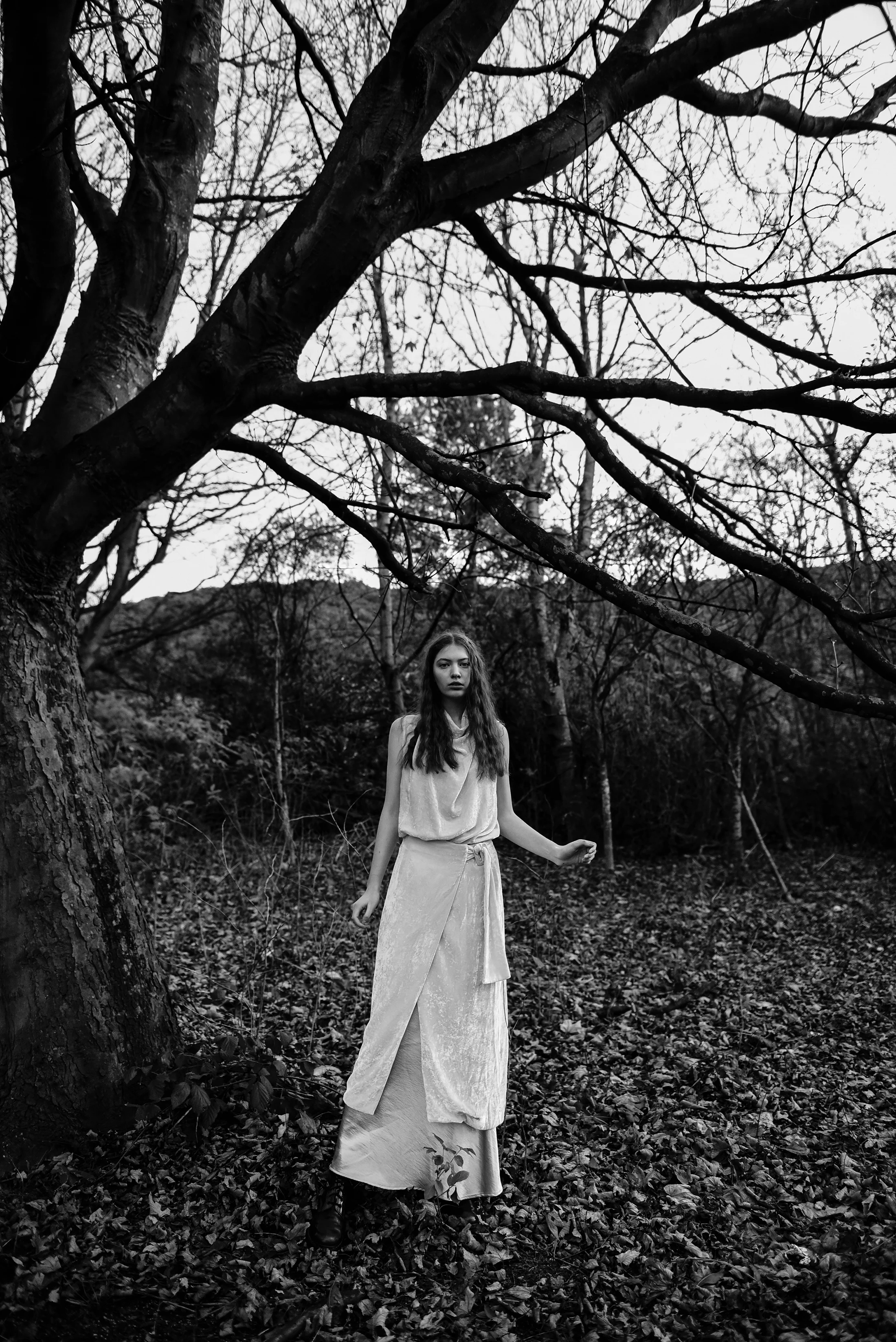 F_DSC5004(ST).jpg