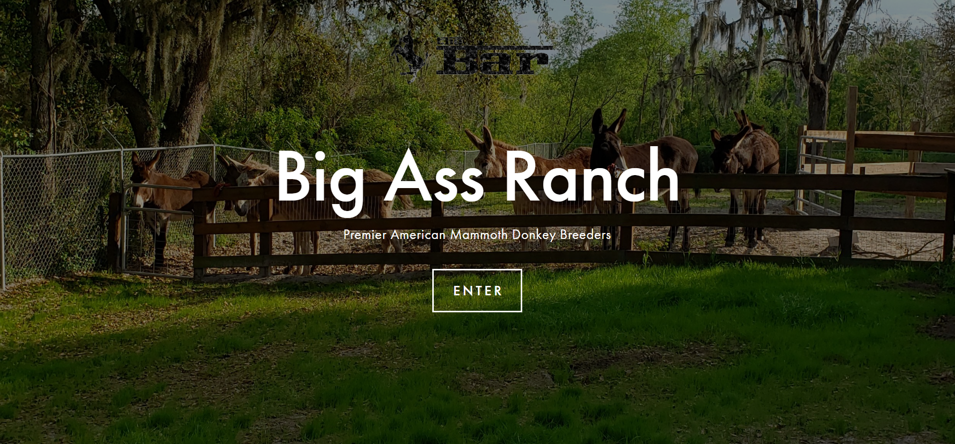 The Big Ass Ranch