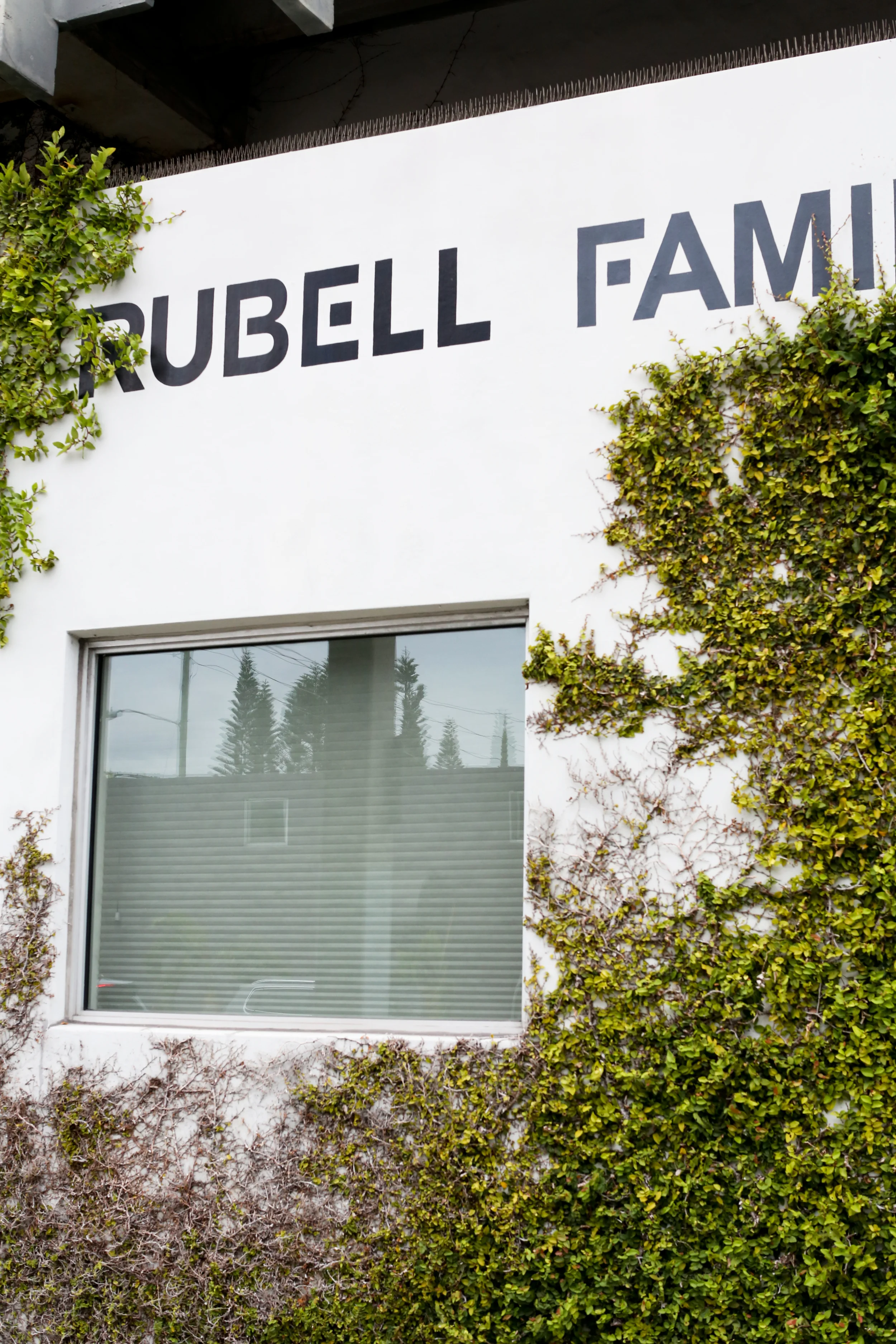 Rubell Art Gallery Modern Vibrant Wedding
