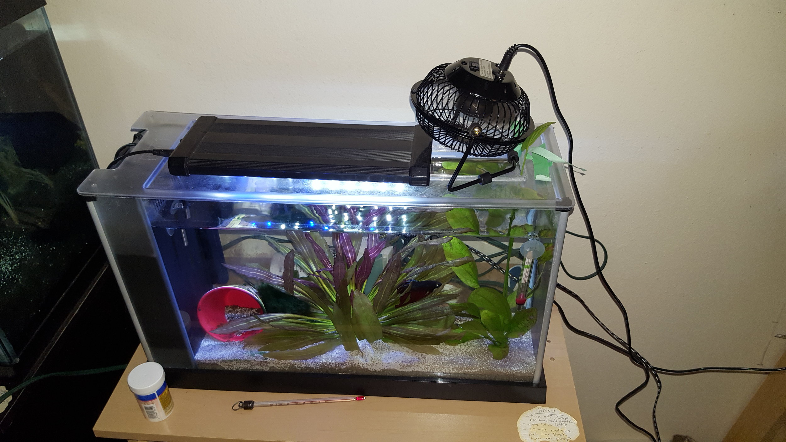 Cooling your Aquarium by using a controlled Fan — The Arduino Maker Man