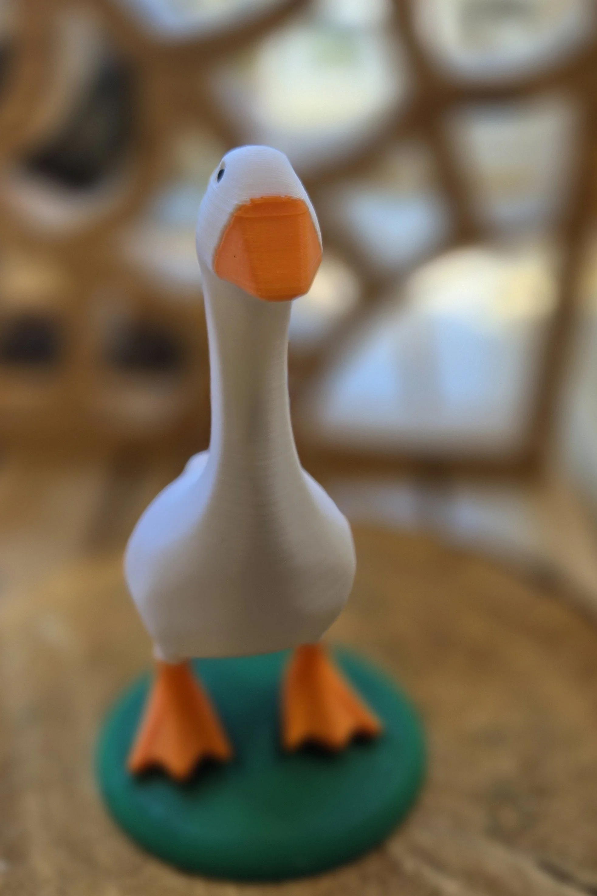 20260522_143013.jpg