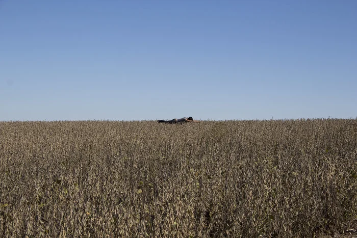 Bailey Arend “Deciduous Poses (Horizon Field)” Inkjet Print