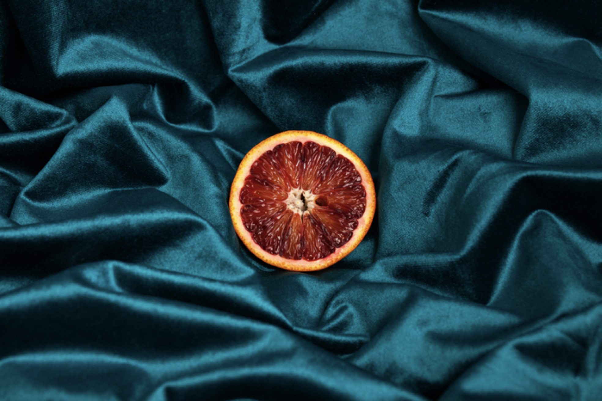 Frankie Alduino, Blood Orange on Blue Velvet