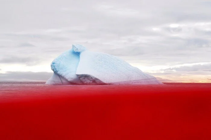 Jessica Houston, Crossing the Line