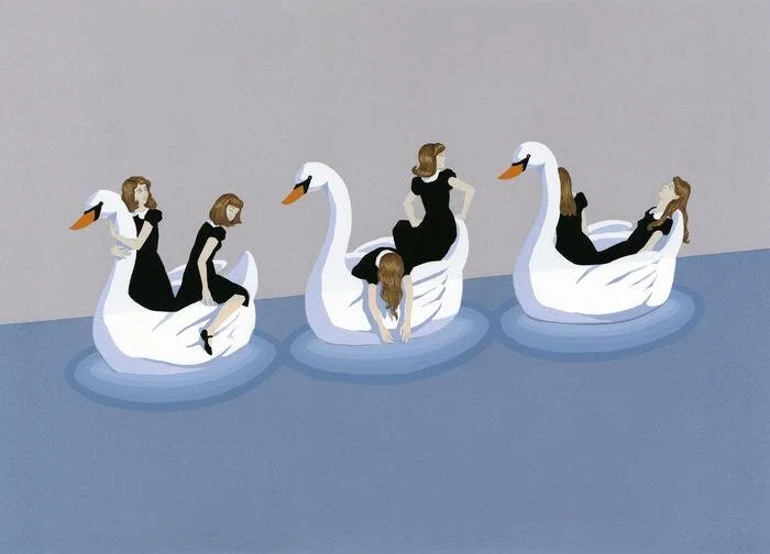 Zoe Hawk, Cygnets