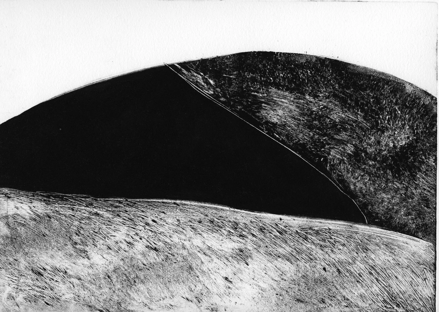 A-Luckett_000001_355197_205188_16297.jpg