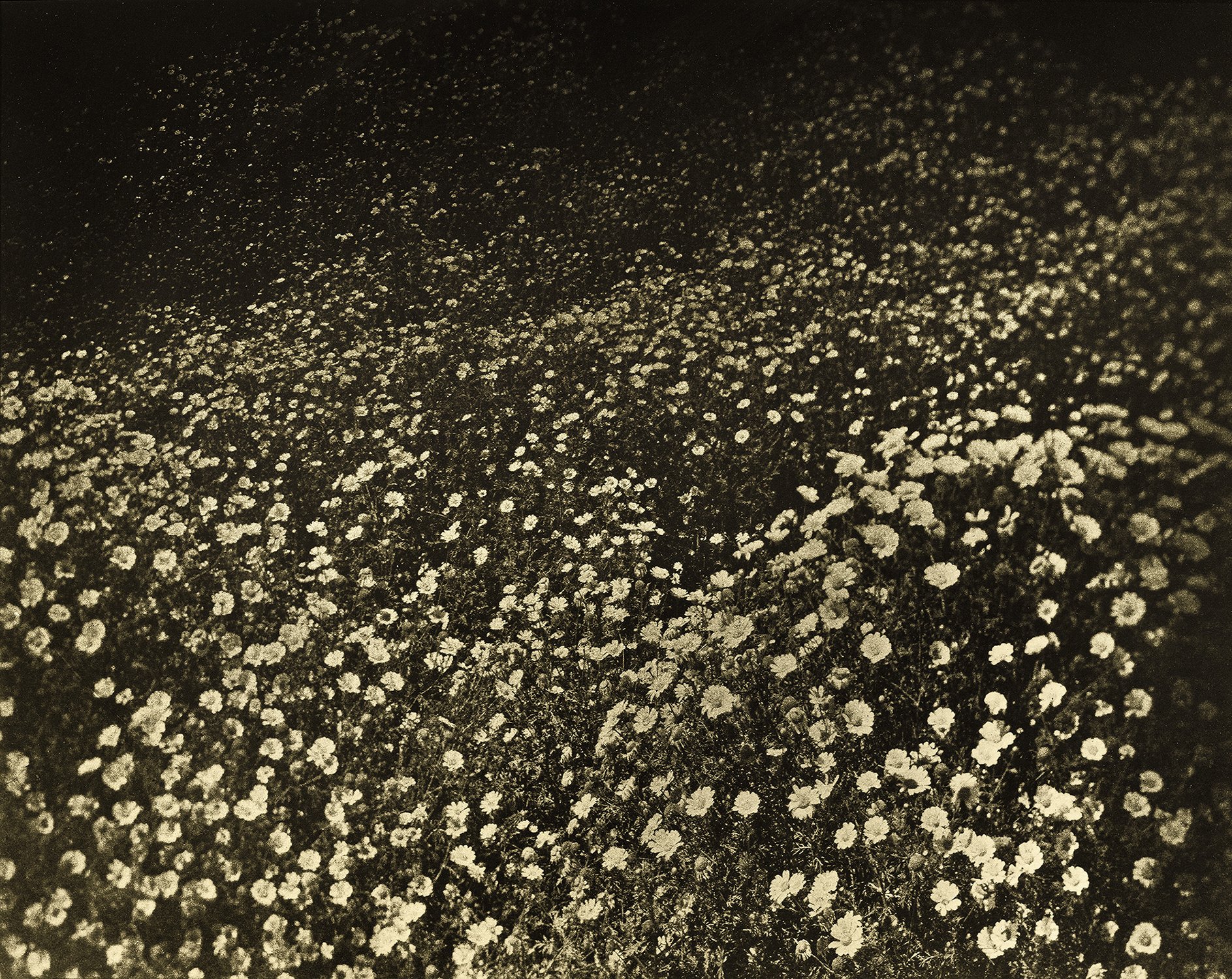 DeSieno_000017_613970_849952_17338.jpg