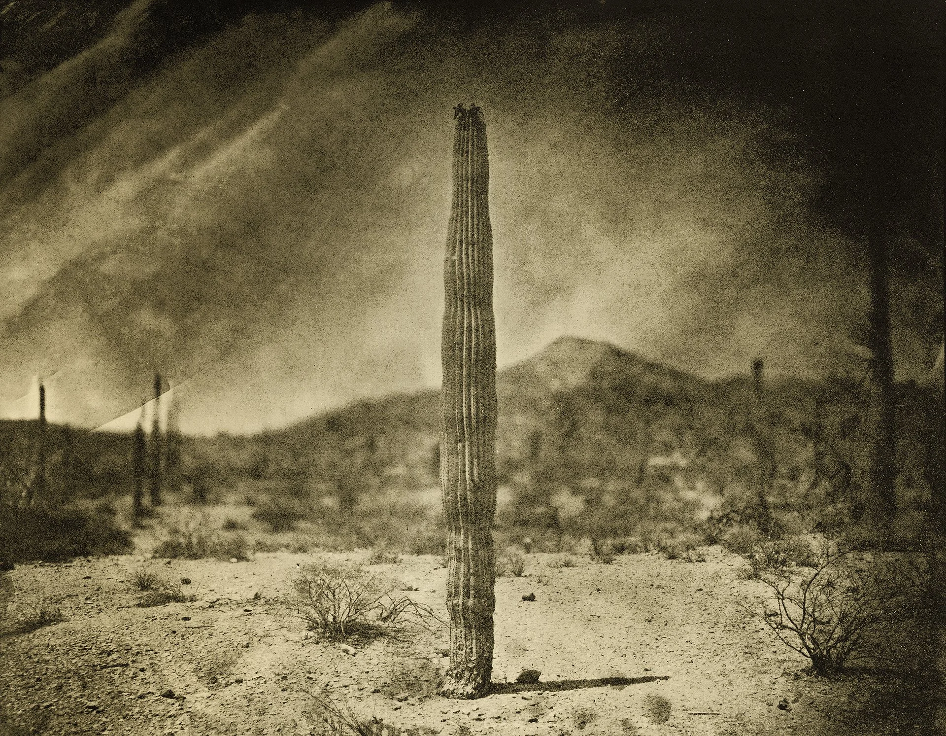 DeSieno_000016_613956_350046_17338.jpg