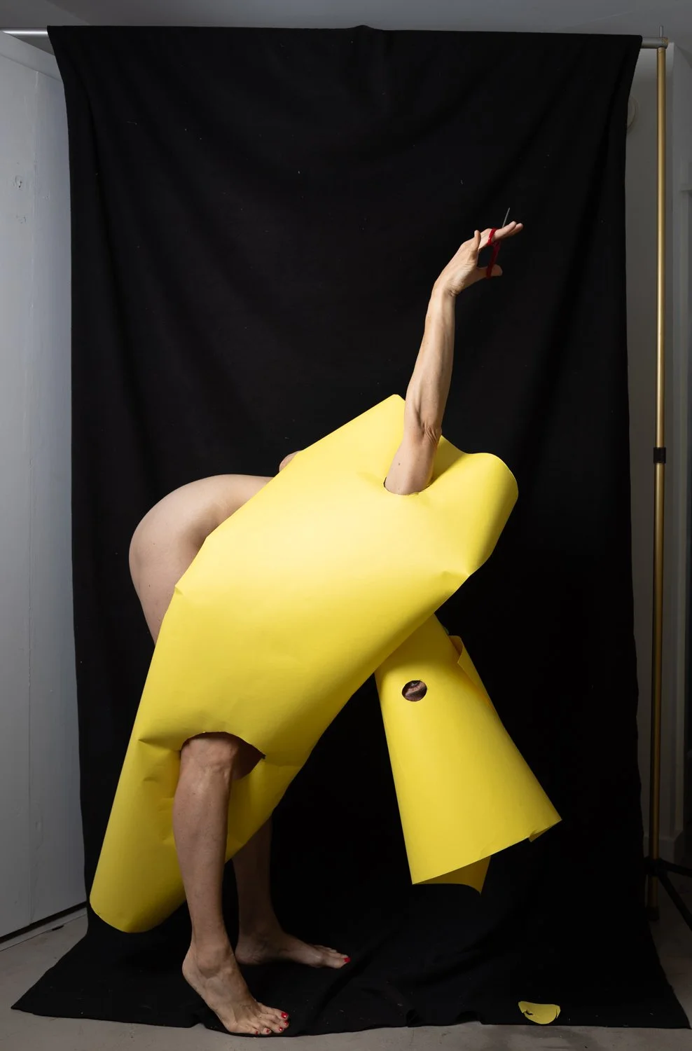 Belle_000010_736683_582382_17627.jpg