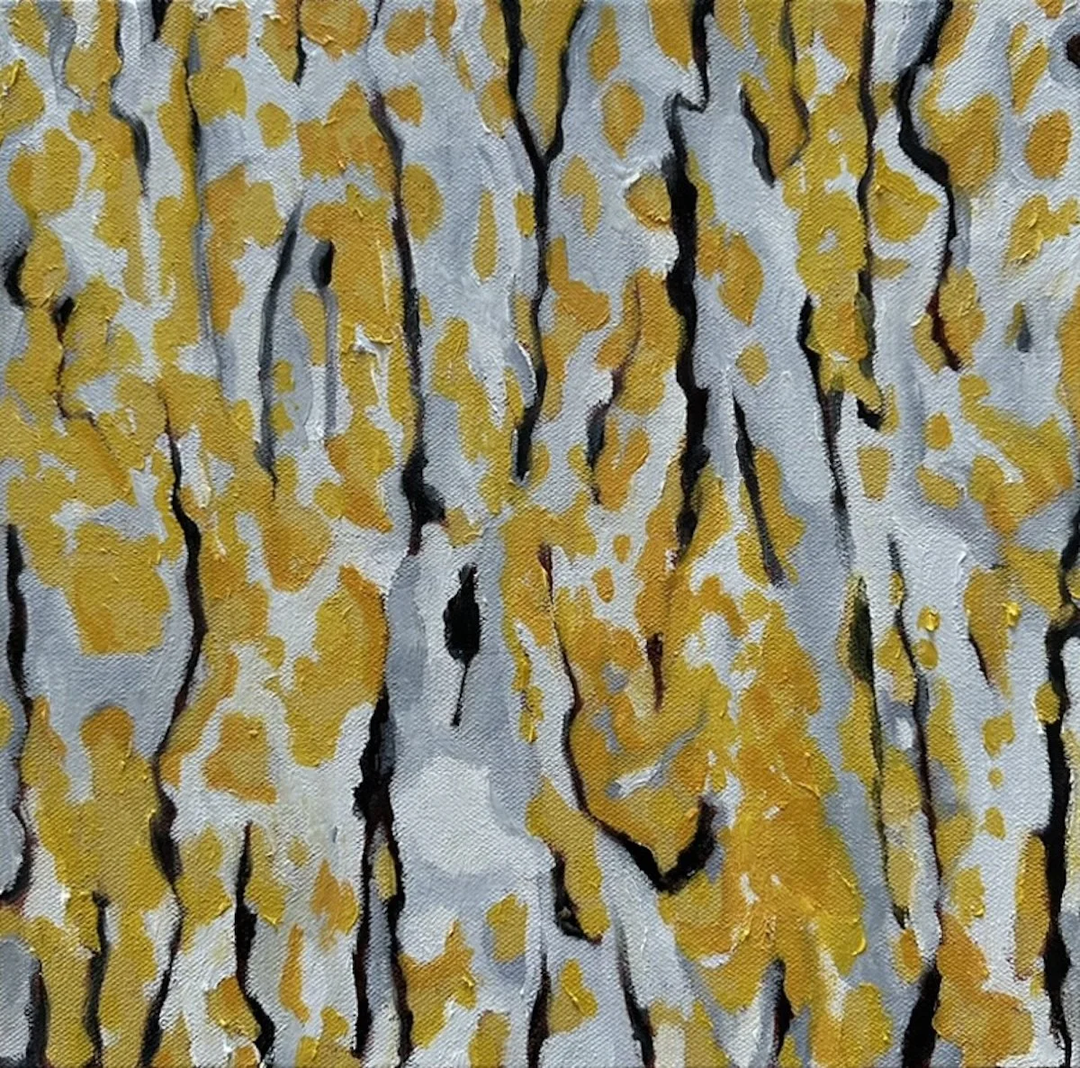 Tanzer_000095_735478_580408_17627.jpg
