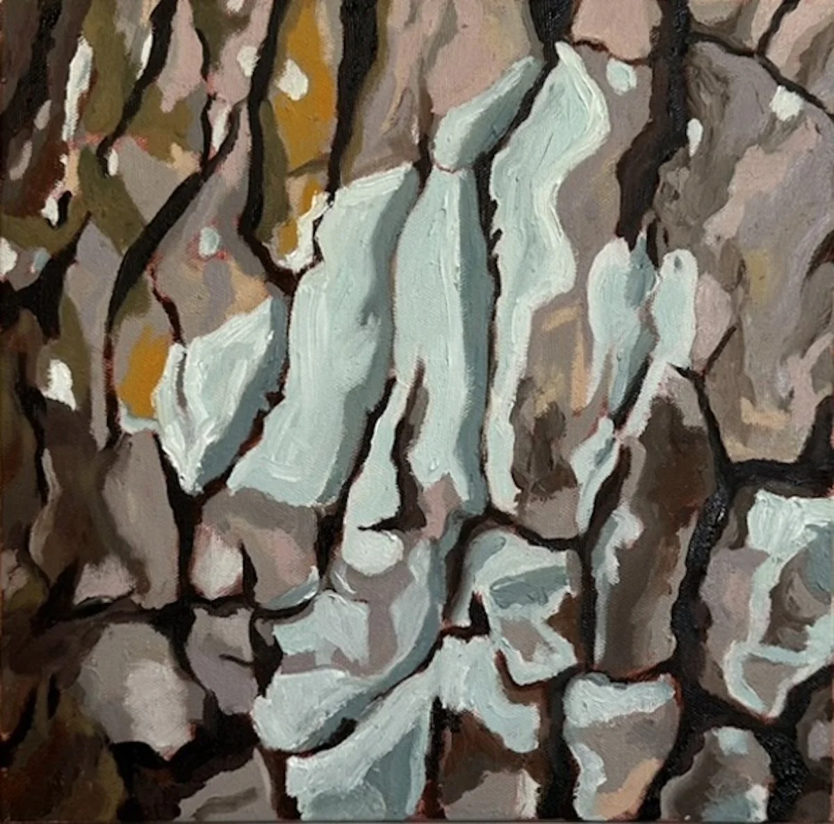 Tanzer_000096_735480_580415_17627.jpg