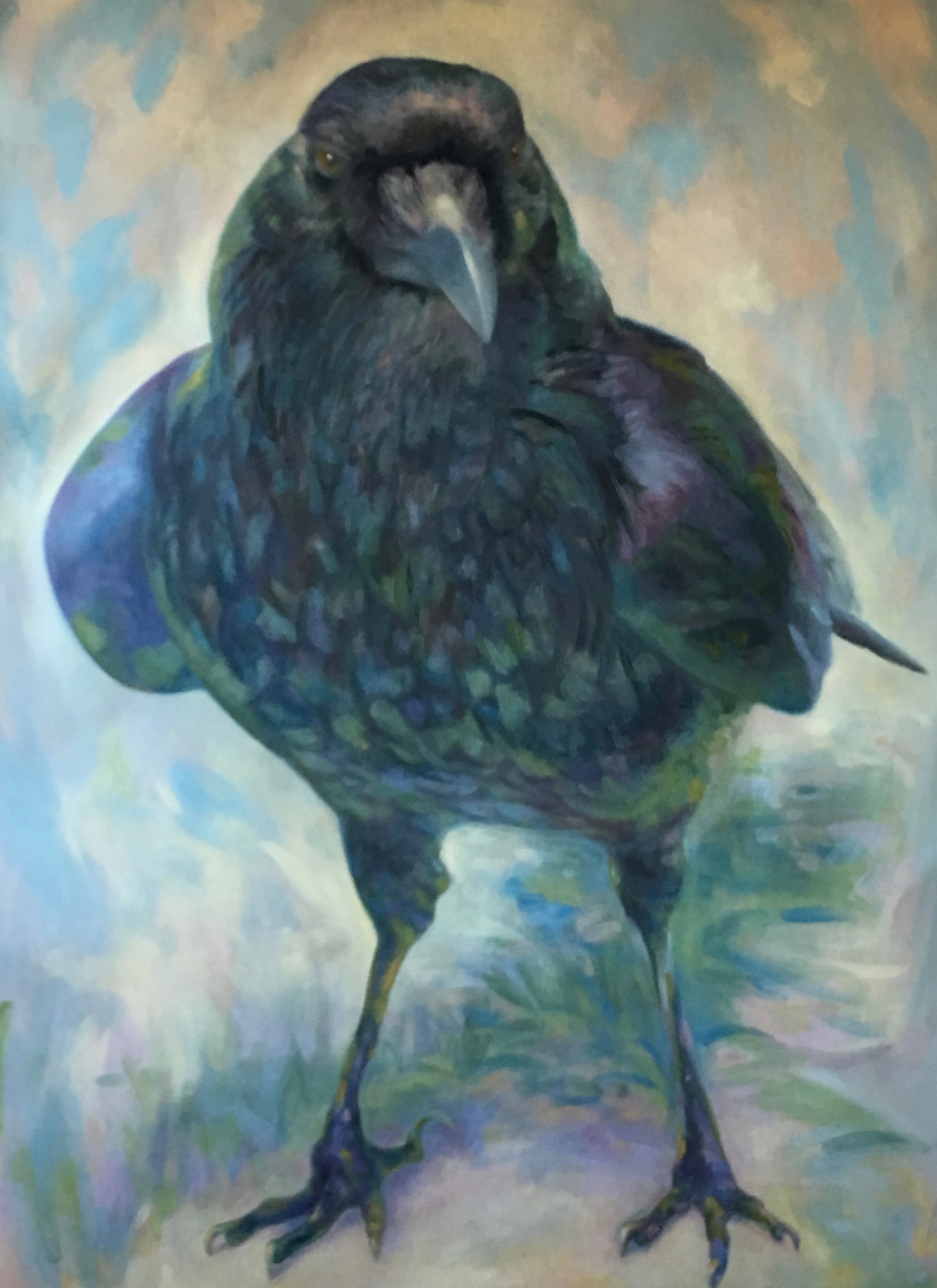 Common Crow