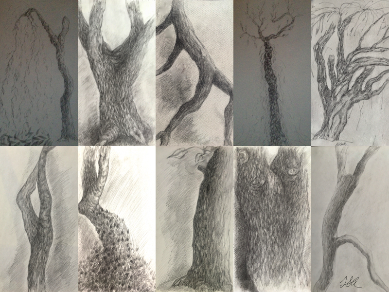 Princeton Trees