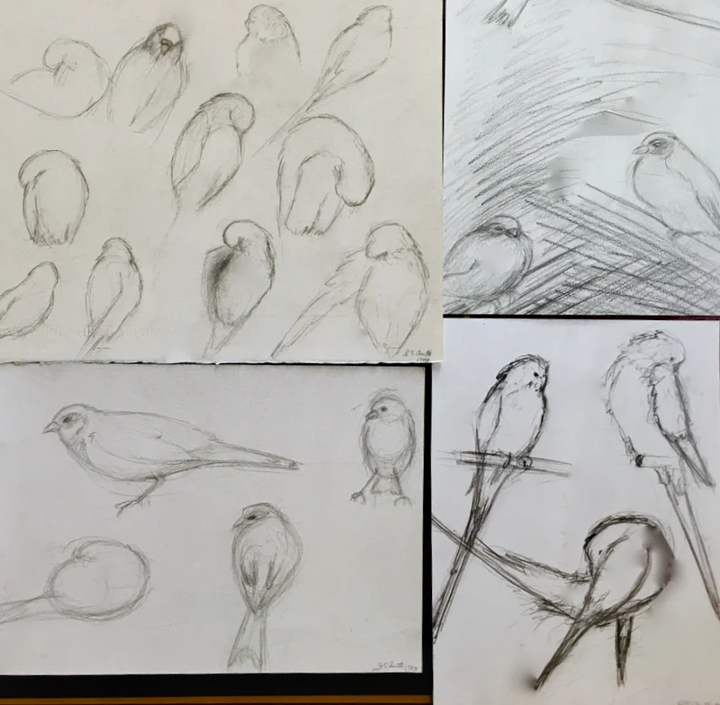SketchBook/Birds in My Studio ©1983 LSAuth.