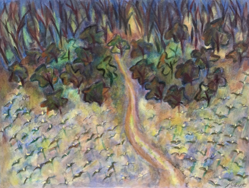 Into the Woods ©1984-5 LSAuth.