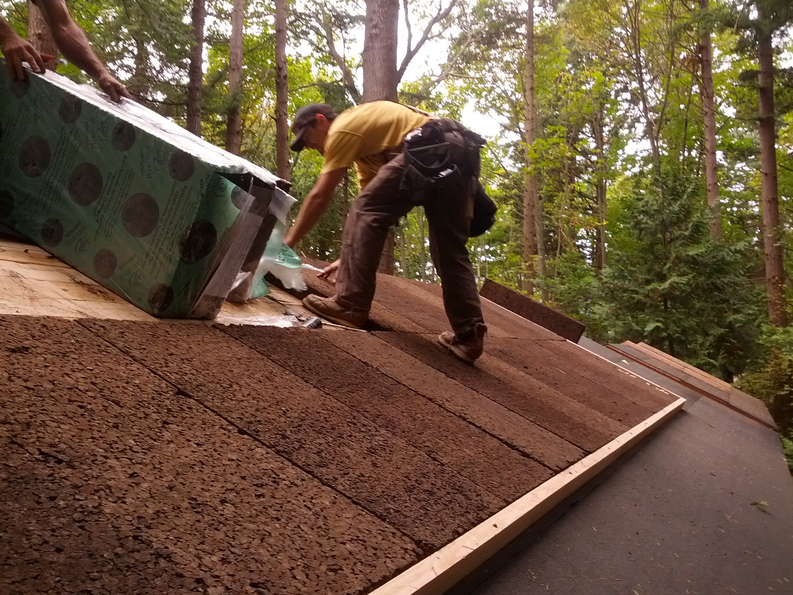 bundle design studio_ eliza island cabin_roof ins instal.jpeg