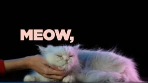 ModularEdits_WERUVYA_3_MEOW_MEOW