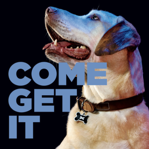 Screen Shot 2021-02-09 at 2.09.53 PM.png