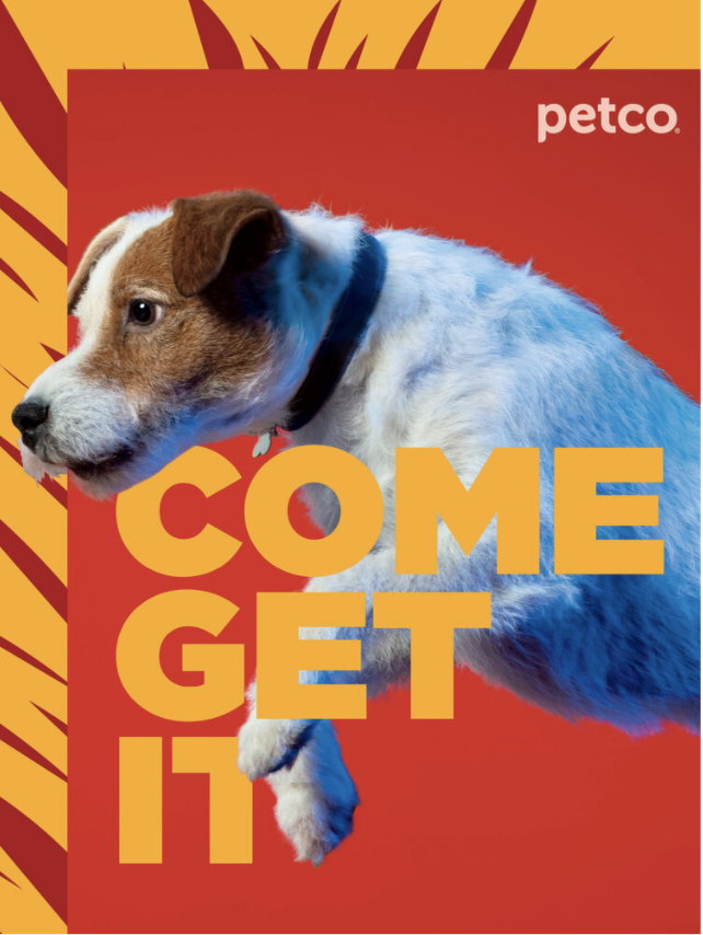 Screen Shot 2021-02-09 at 2.10.16 PM.png