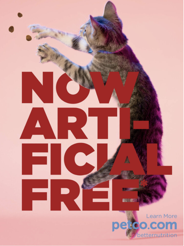 Screen Shot 2021-02-09 at 2.10.27 PM.png