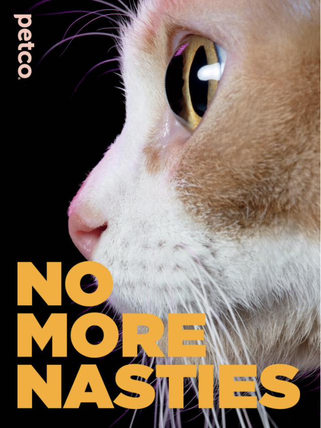 Screen Shot 2021-02-09 at 2.10.22 PM.png