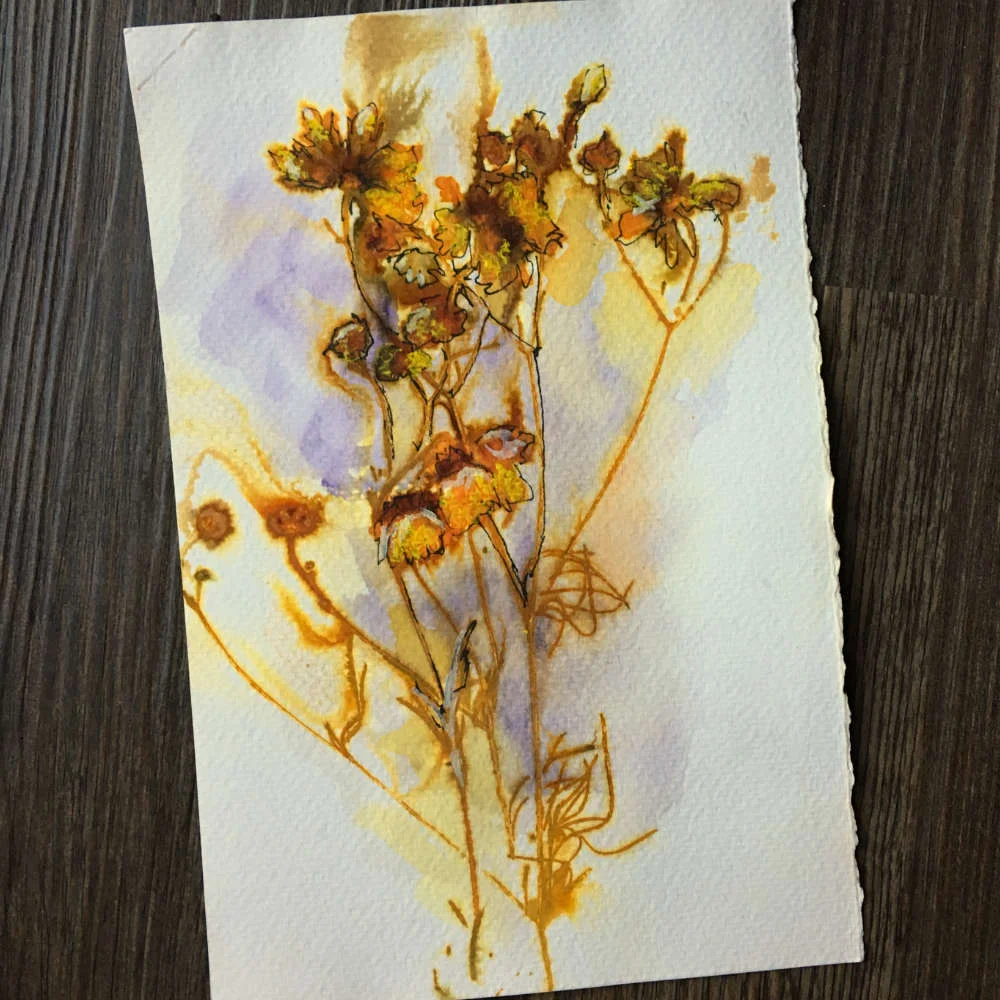 Eco-printed coreopsis flowers.