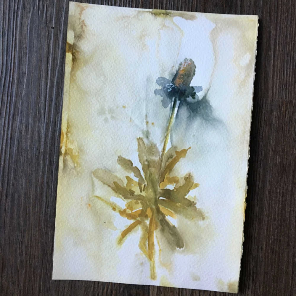 Eco-printed paper using narrow-leaf zinnia. Enhanced with watercolor.