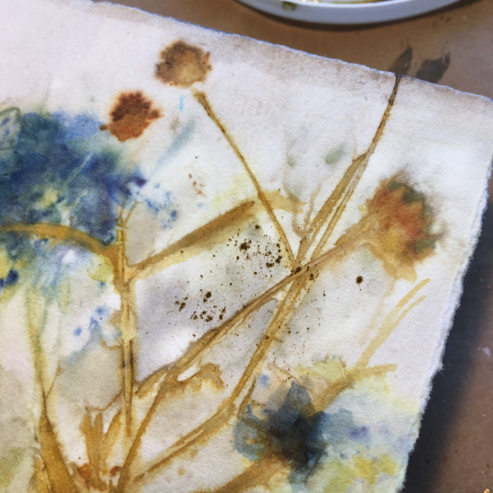 Brusho crystals on eco-print