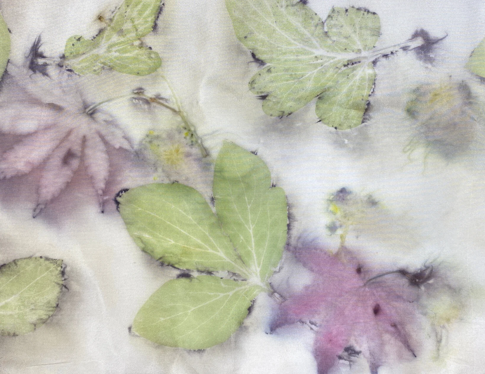 How Long do I Steam Eco-printed Silk? — carol ann webster