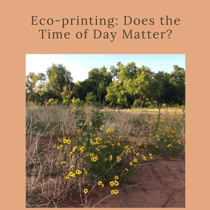 What does the Time of Day have to do with EcoPrinting?