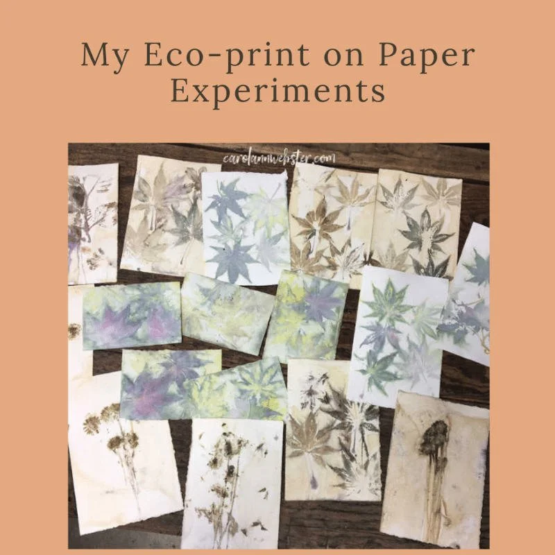 Experimenting with Papers in Eco Prints
